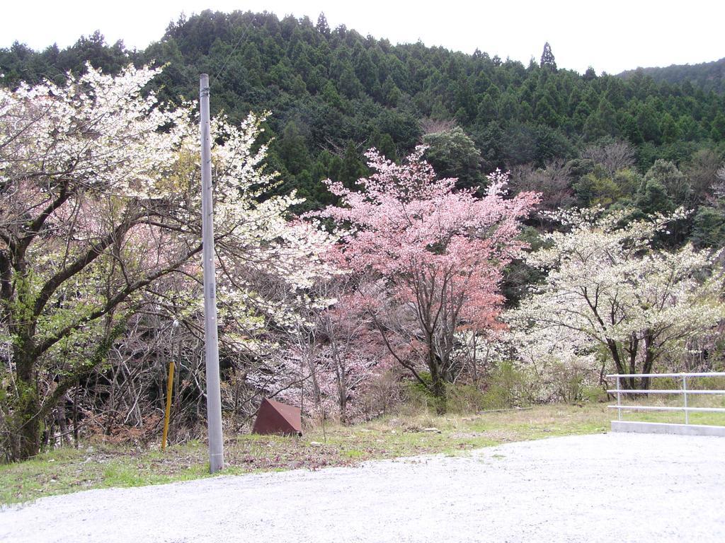 Irorino Yado Sankichi Hotel Izu  Exterior foto